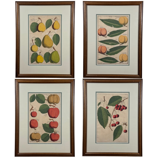 Set of Four Framed 18th-Century Botanical Engravings by Batty Langley, from Pomona (circa 1729)